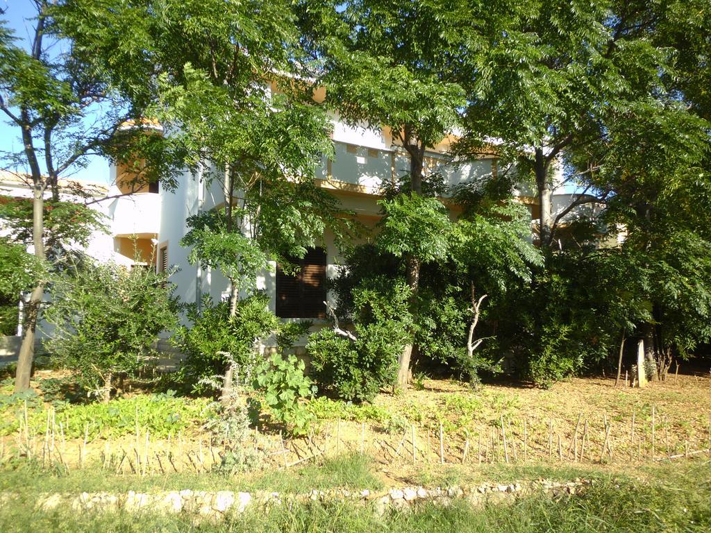 Apartments Kresimir Beauty With Shadow Trees And Parking Place Pag Town Habitación foto