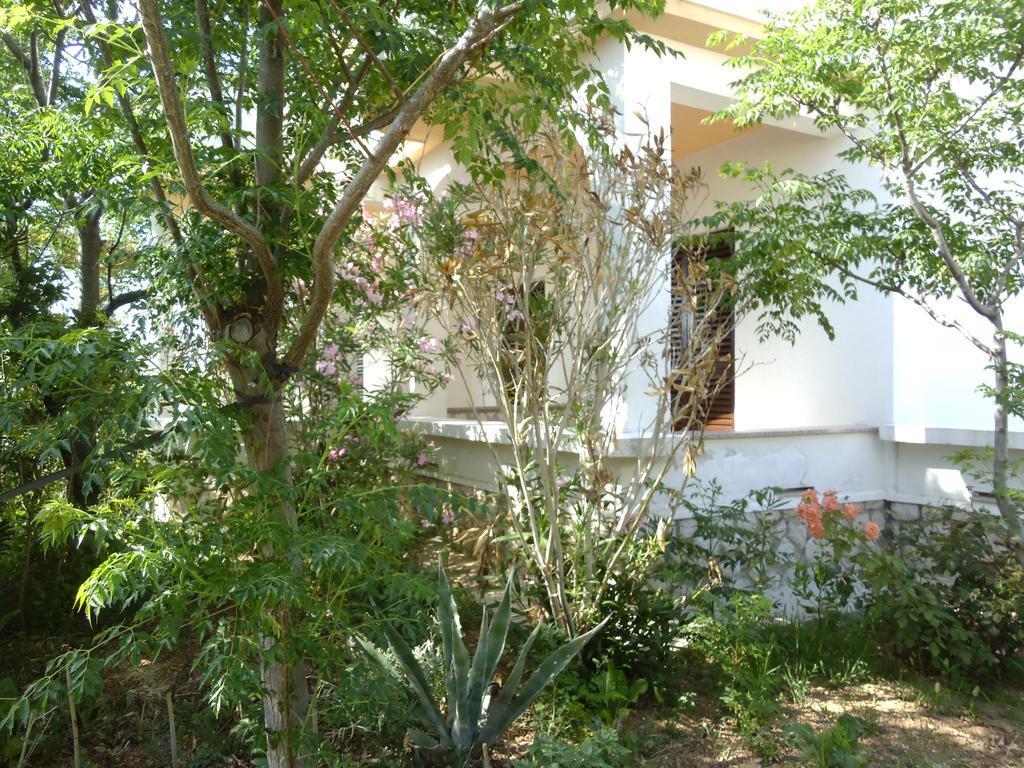 Apartments Kresimir Beauty With Shadow Trees And Parking Place Pag Town Habitación foto