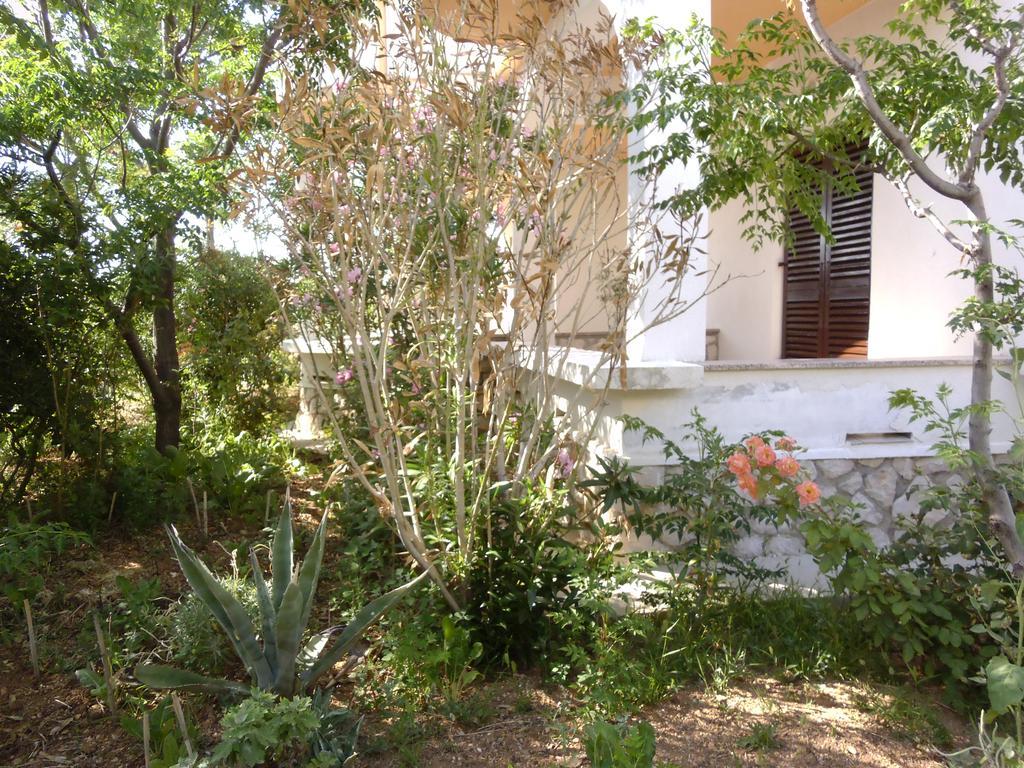 Apartments Kresimir Beauty With Shadow Trees And Parking Place Pag Town Habitación foto