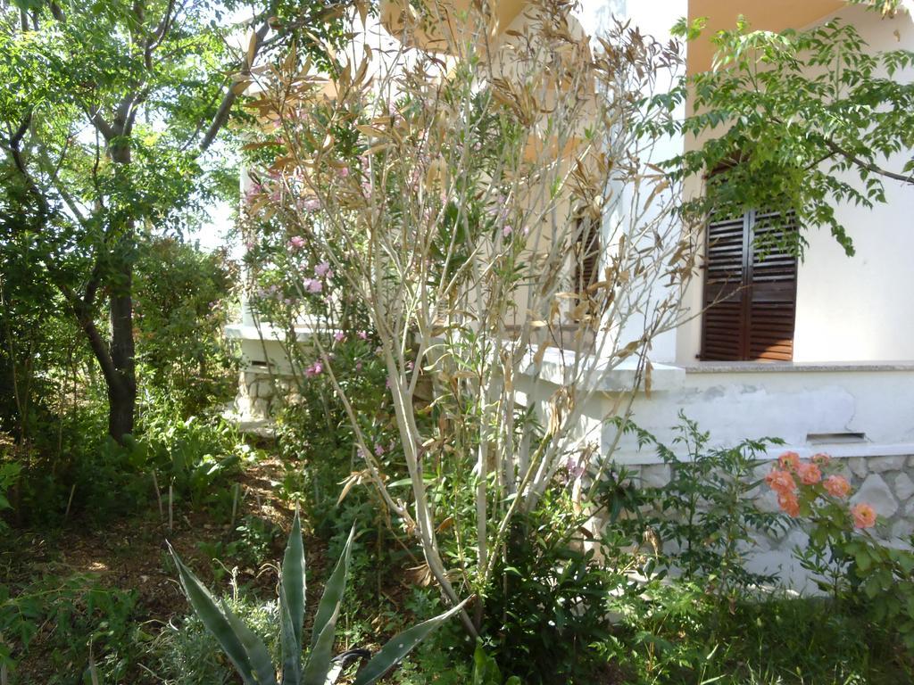 Apartments Kresimir Beauty With Shadow Trees And Parking Place Pag Town Habitación foto